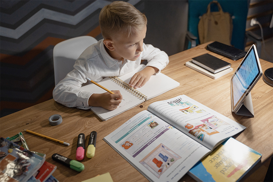 organización de tareas